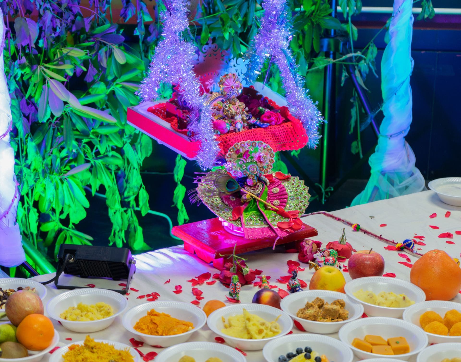 Janmashtami 2025 – photo 5